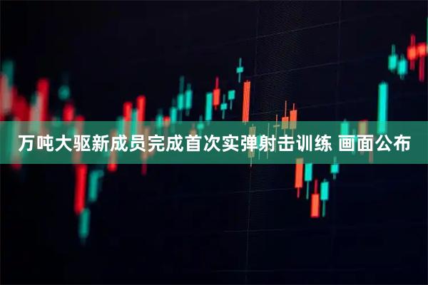 万吨大驱新成员完成首次实弹射击训练 画面公布