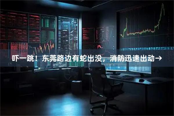 吓一跳！东莞路边有蛇出没，消防迅速出动→